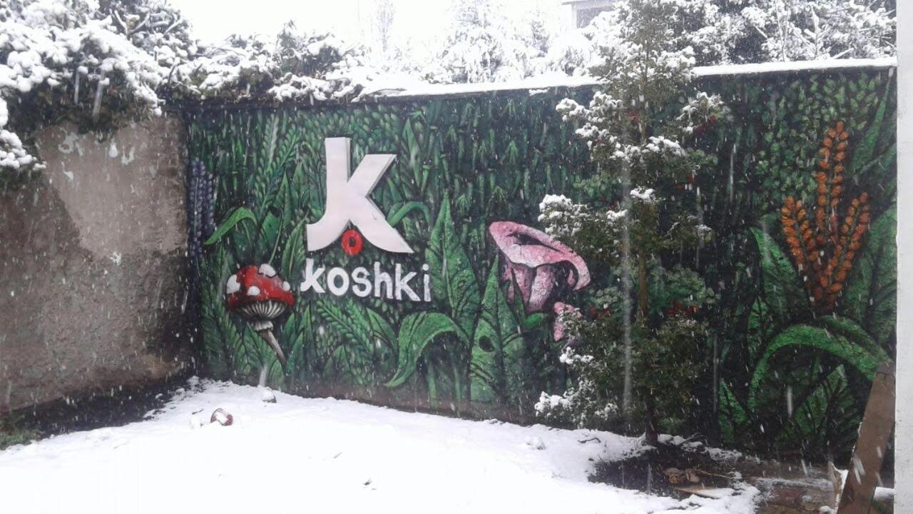 Хостел Kosh Сан-Карлос-де-Барилоче Экстерьер фото